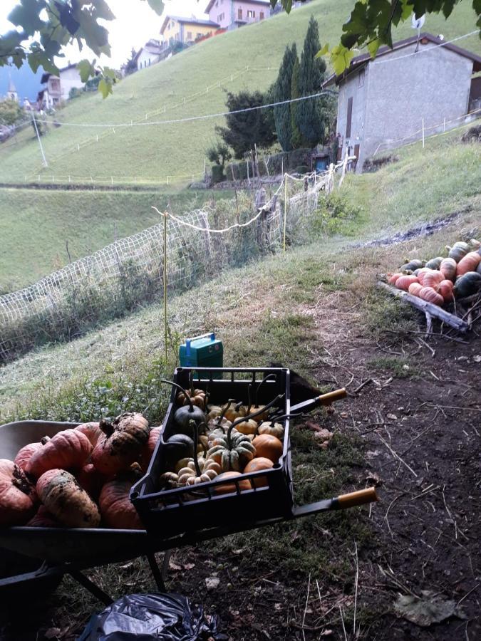 Graziosa, Casetta In Valgerola Rasura 외부 사진